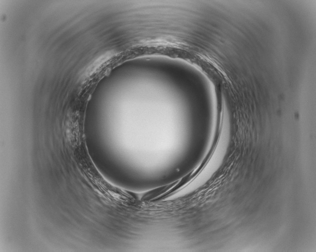 X0000060280968200510281228
