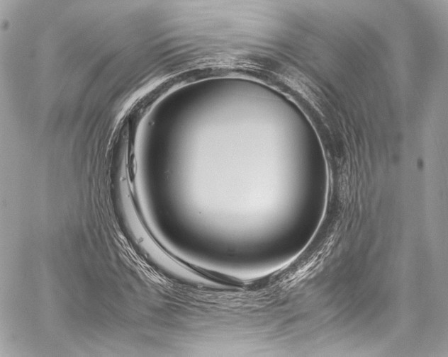 X0000060280971200510281228
