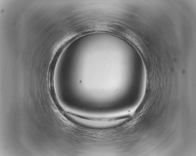 X0000060280987200510281227