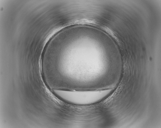 X0000060281032200510281227