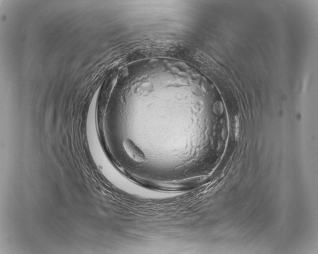 X0000060281059200510281226