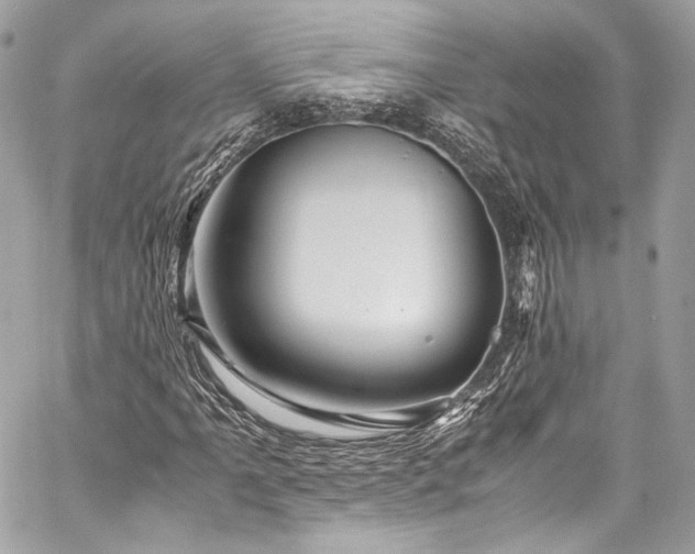 X0000060281061200510281226