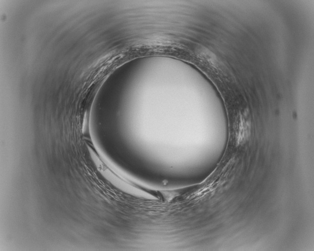 X0000060281062200510281226