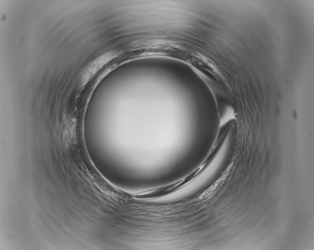 X0000060281066200510281226