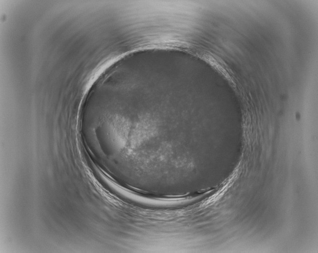 X0000060281077200510281226