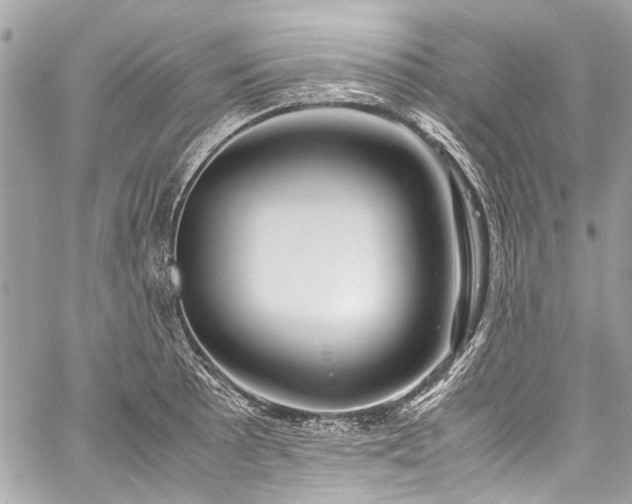X0000060281089200510281226