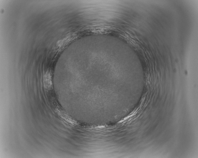 X0000060281106200510281225