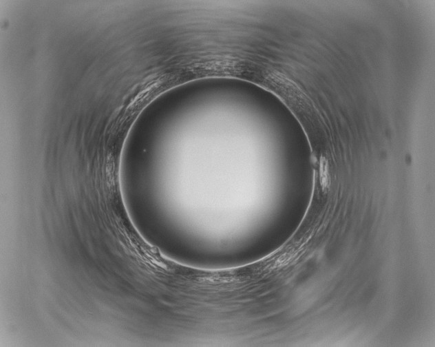 X0000060281107200510281225