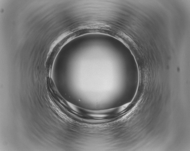 X0000060281114200510281225