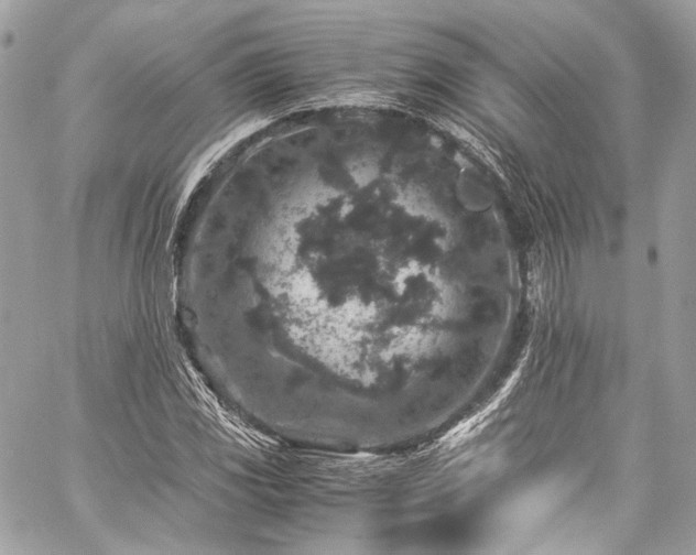 X0000060281117200510281225