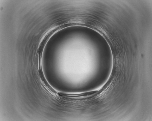 X0000060281123200510281225