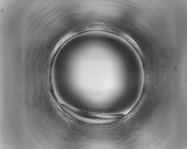 X0000060281146200510281225