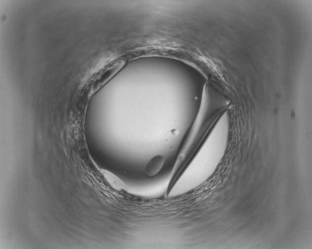 X0000060281159200510281224