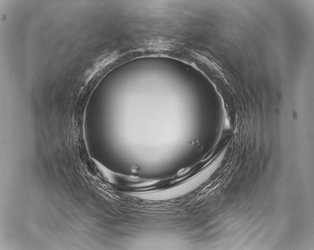 X0000060281160200510281224