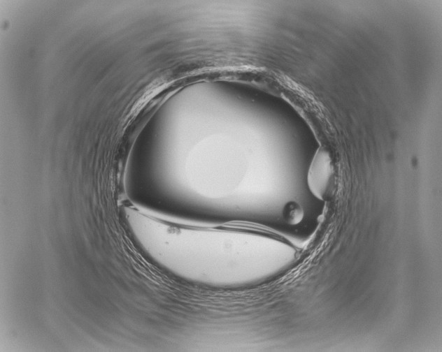X0000060281169200510281224