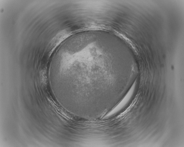 X0000060281170200510281224