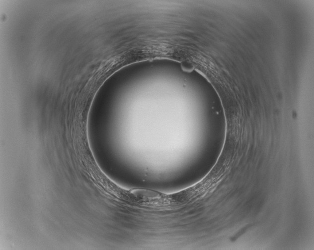 X0000060281201200510281223