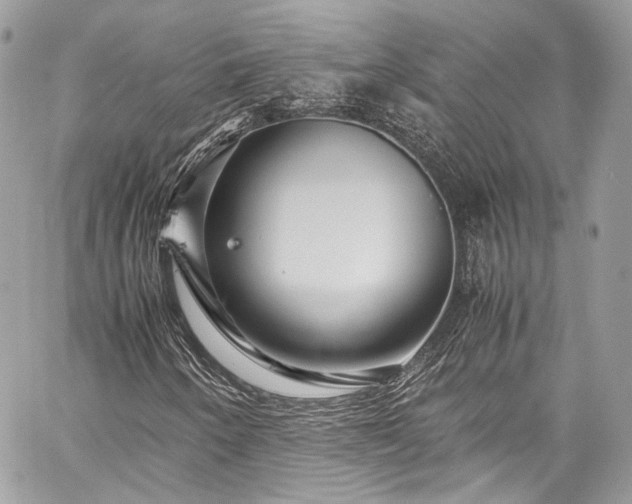 X0000060281250200510281223