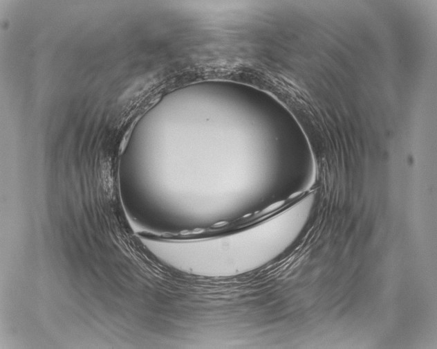 X0000060281252200510281223