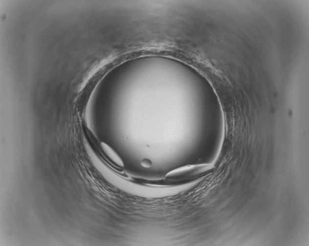 X0000060281256200510281223