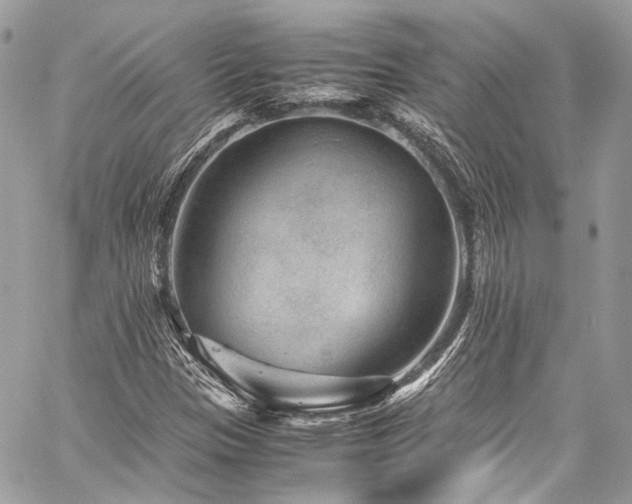 X0000060281305200510281222