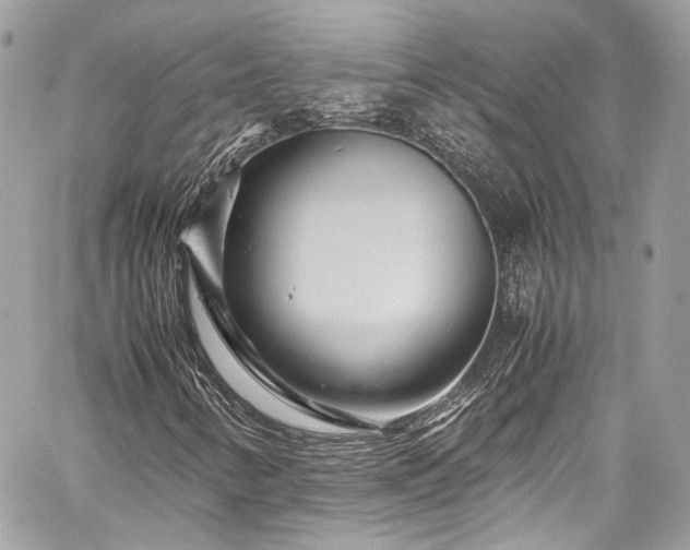 X0000060281346200510281221