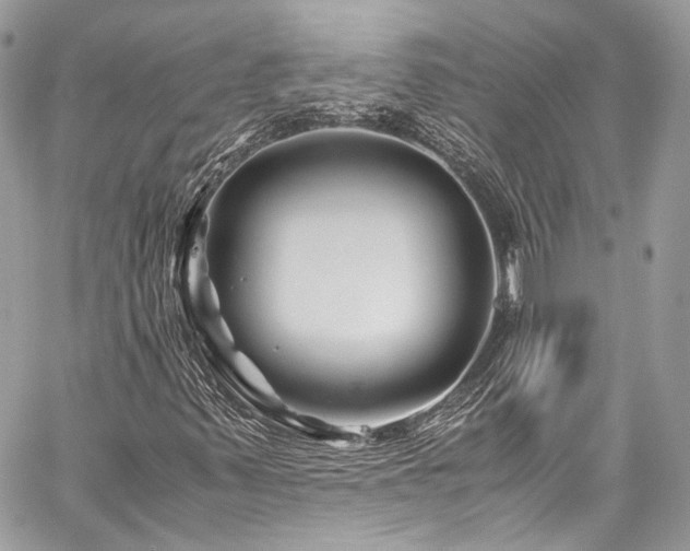X0000060281347200510281221