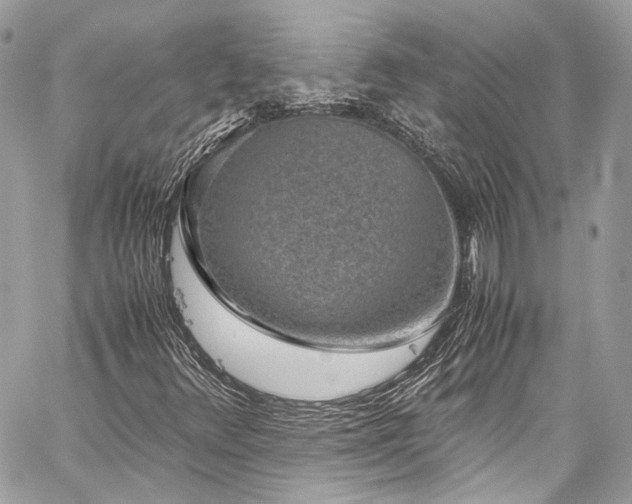 X0000060281348200510281221