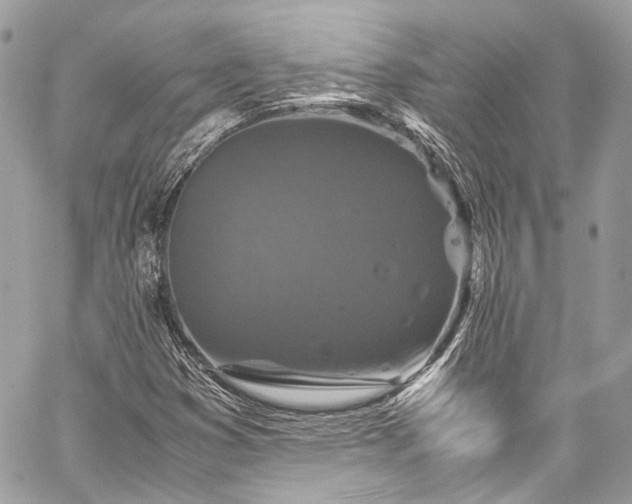 X0000060281353200510281221