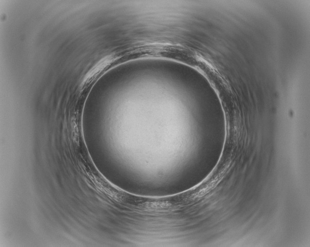 X0000060281354200510281221
