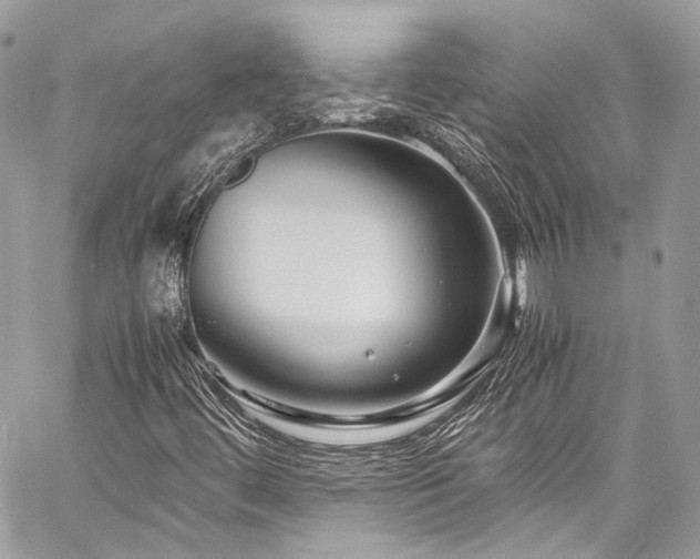 X0000060281444200510281220