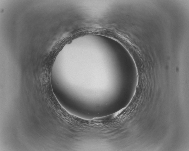 X0000060281447200510281220