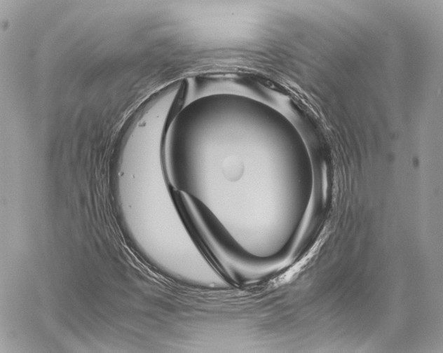 X0000060281449200510281220