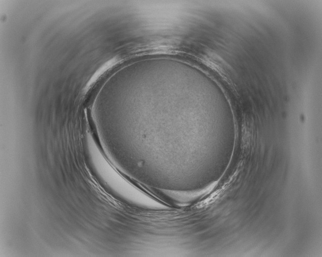X0000060281450200510281220