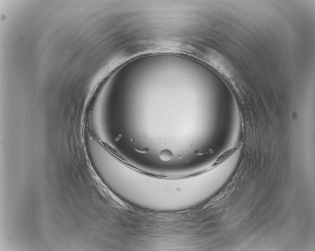 X0000060281480200510281219