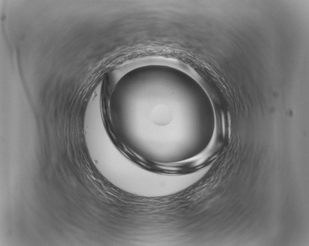 X0000060281492200510281218