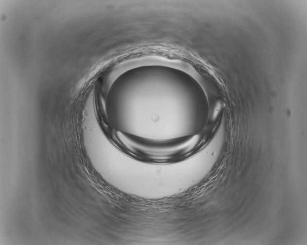 X0000060281496200510281218
