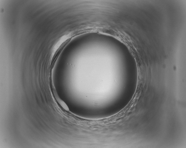 X0000060280003200511011018