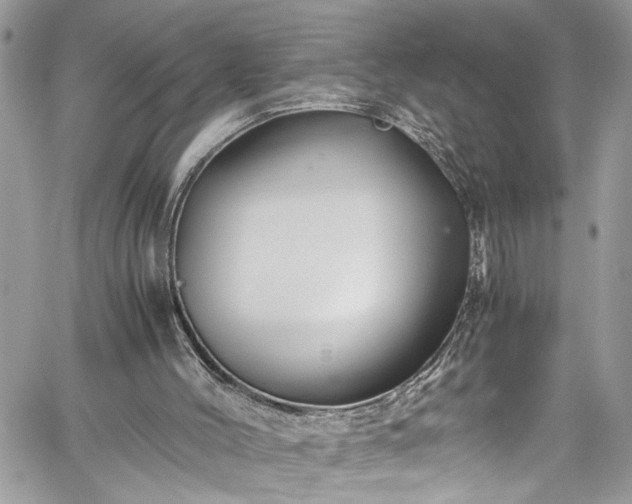 X0000060280004200511011018