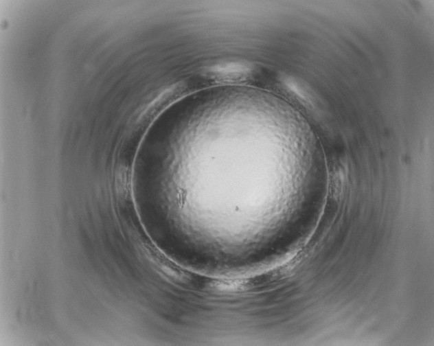 X0000060280093200511011017