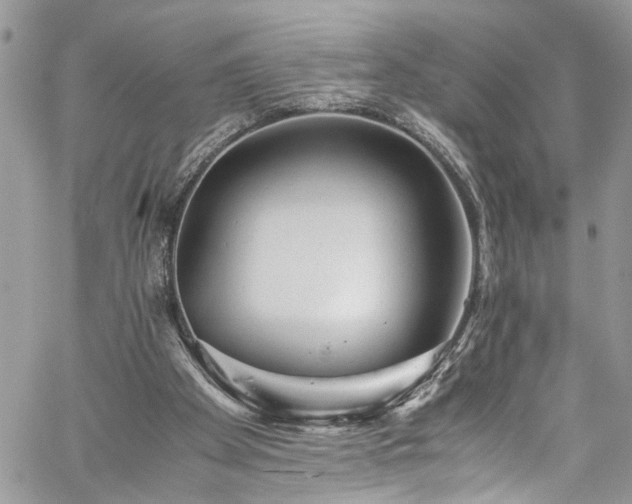X0000060280105200511011017