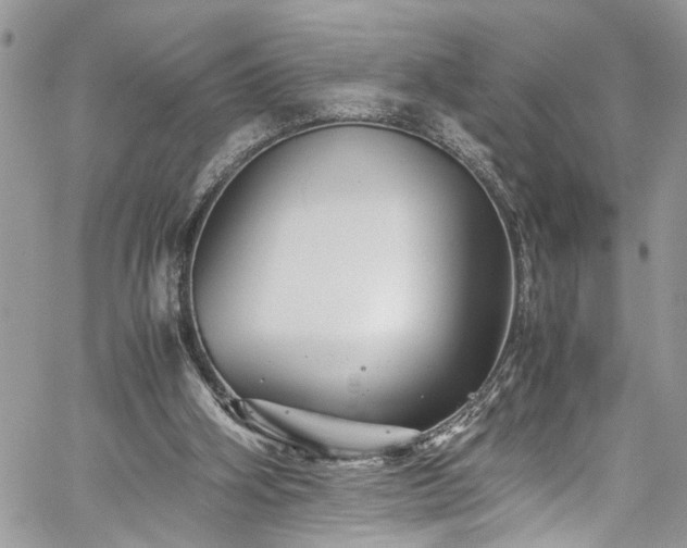 X0000060280106200511011017