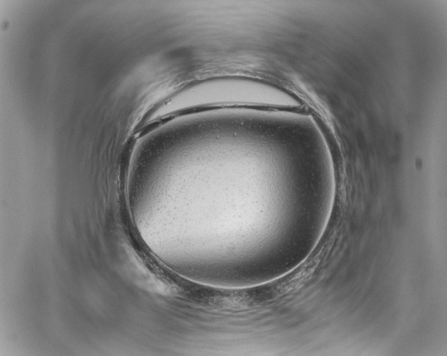 X0000060280107200511011017