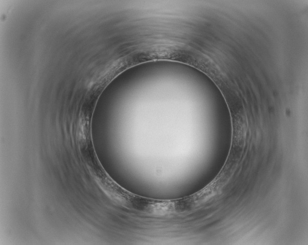 X0000060280126200511011016