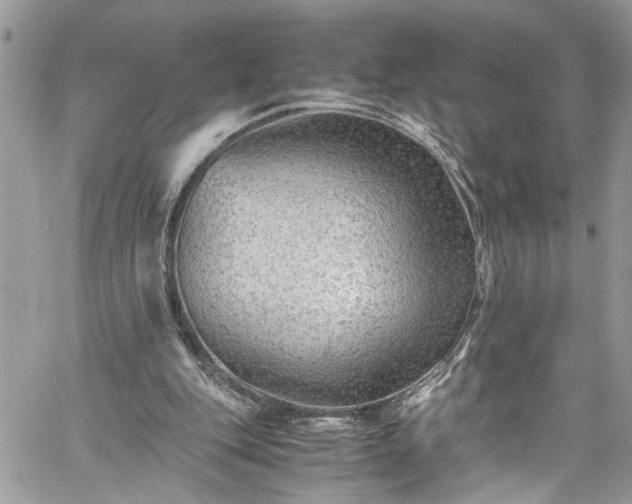X0000060280151200511011015