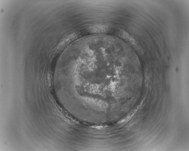 X0000060280161200511011015