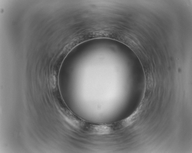 X0000060280183200511011016