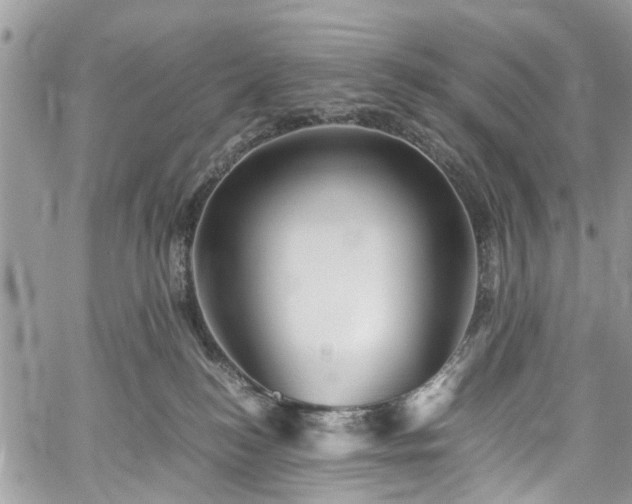 X0000060280184200511011016