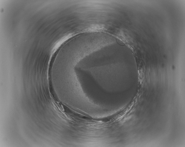 X0000060280196200511011015