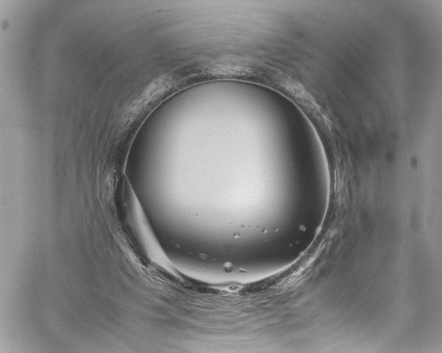 X0000060280201200511011015